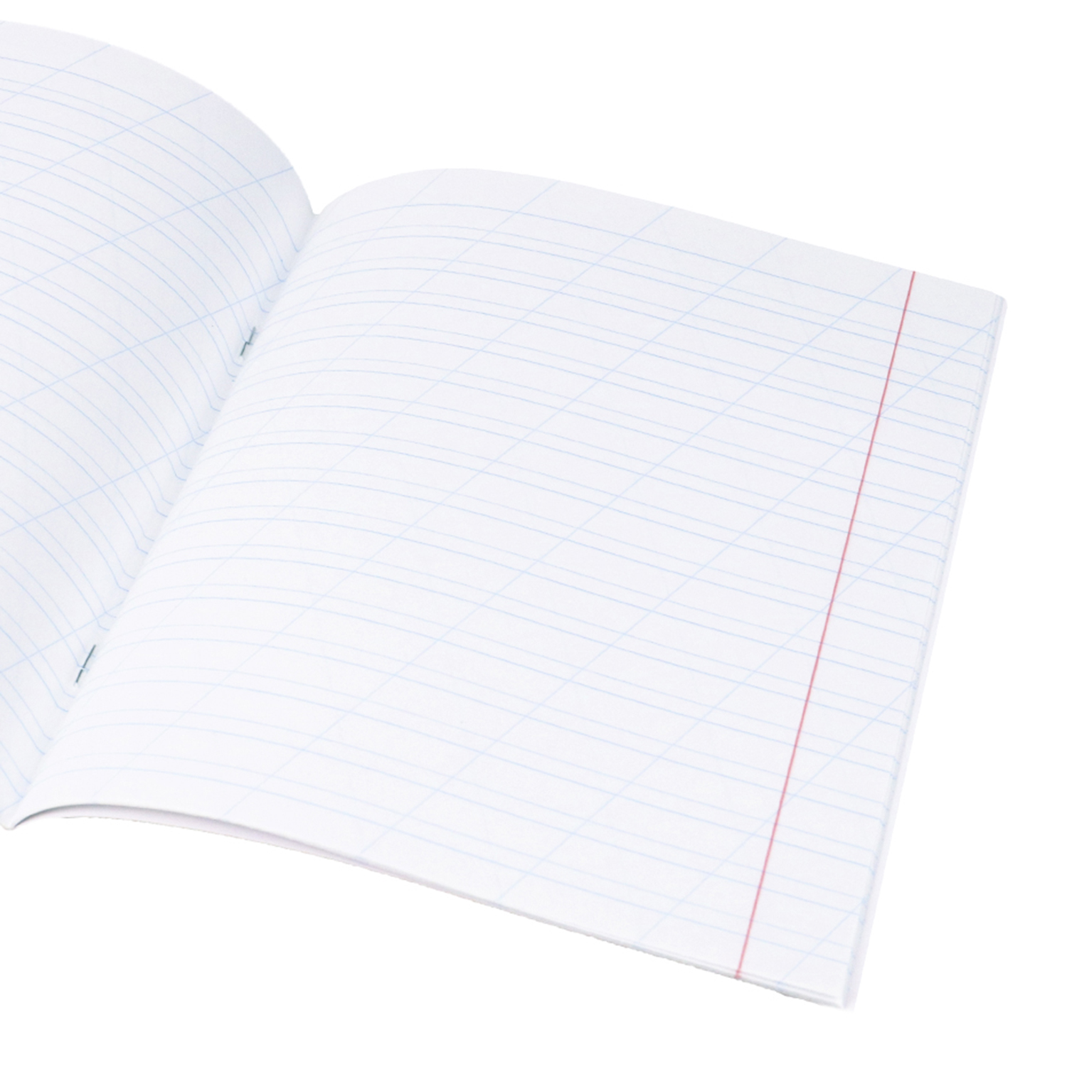 Тетрадь 12 листов, КОСАЯ, ON-1203