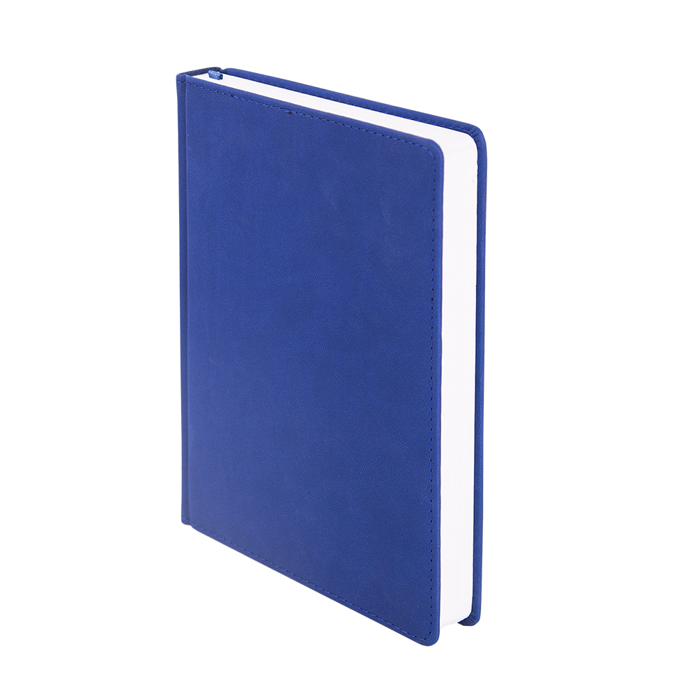 Ежедневник А5 полудатированный линия синий 261-02